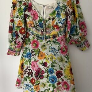 Alice + Olivia Pink Smocked Puff Sleeve Dress